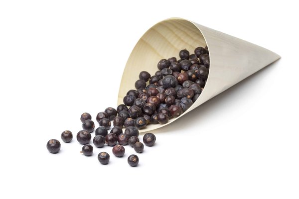 Quels sont les modèles de sacs tendance pour les soirées formelles?